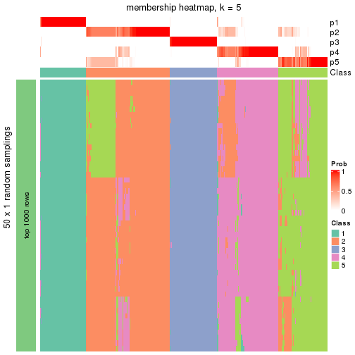 plot of chunk tab-node-0-membership-heatmap-4