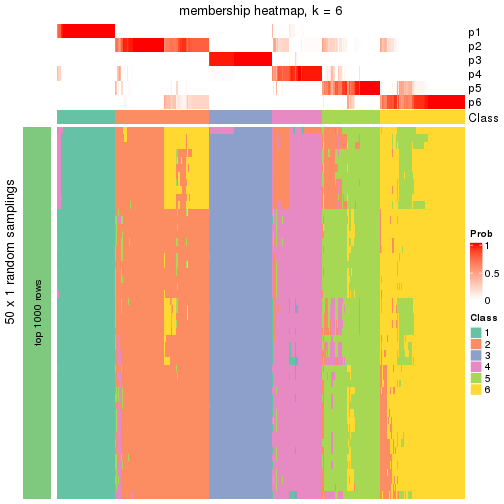 plot of chunk tab-node-0-membership-heatmap-5