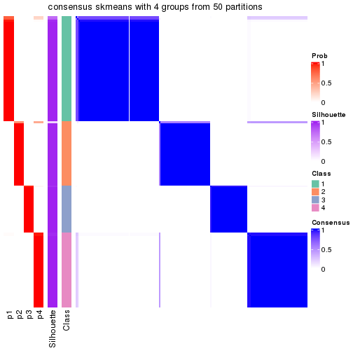 plot of chunk tab-node-01-consensus-heatmap-3