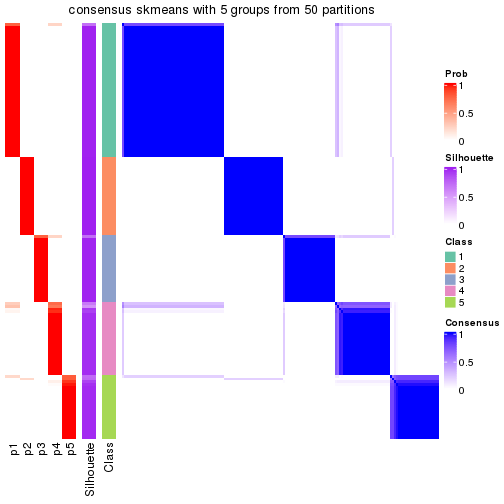 plot of chunk tab-node-01-consensus-heatmap-4