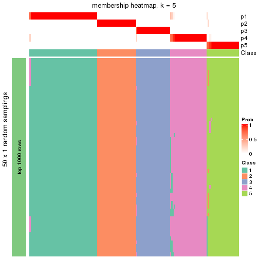 plot of chunk tab-node-01-membership-heatmap-4