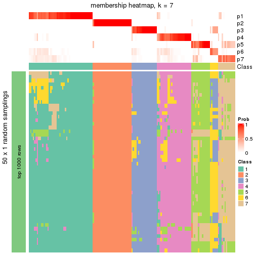 plot of chunk tab-node-01-membership-heatmap-6