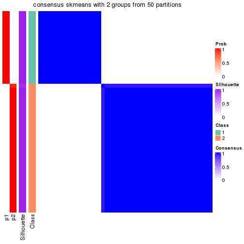 plot of chunk tab-node-011-consensus-heatmap-1