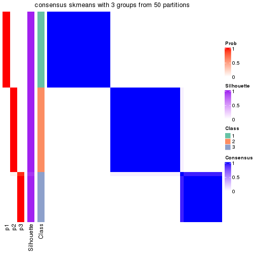 plot of chunk tab-node-011-consensus-heatmap-2