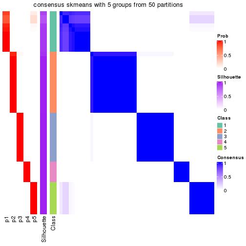 plot of chunk tab-node-011-consensus-heatmap-4