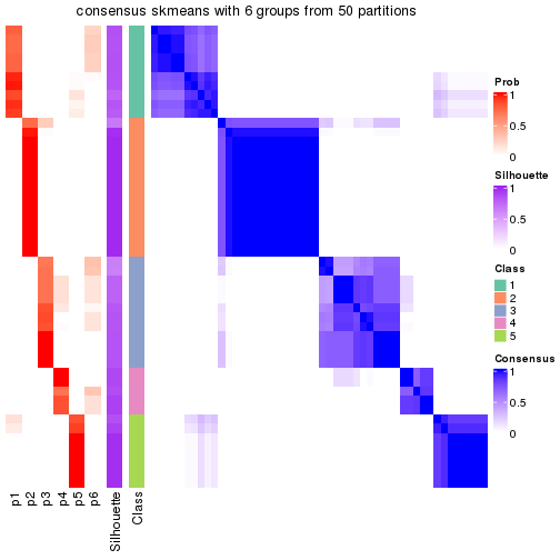 plot of chunk tab-node-011-consensus-heatmap-5