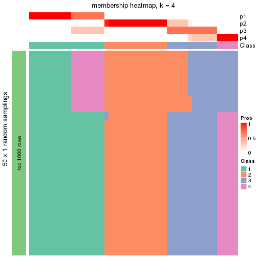 plot of chunk tab-node-011-membership-heatmap-3