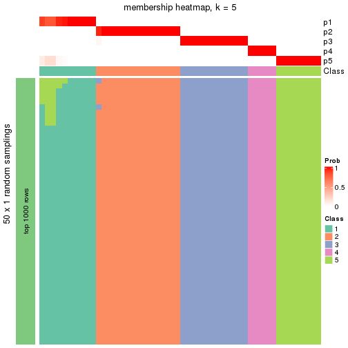 plot of chunk tab-node-011-membership-heatmap-4