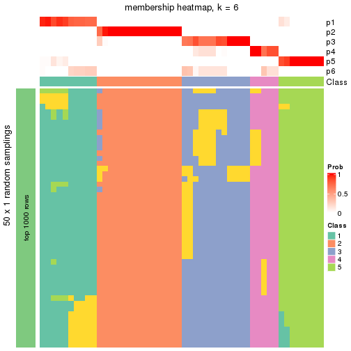 plot of chunk tab-node-011-membership-heatmap-5