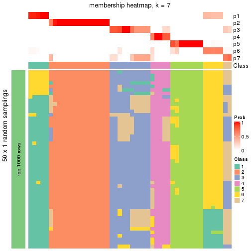 plot of chunk tab-node-011-membership-heatmap-6