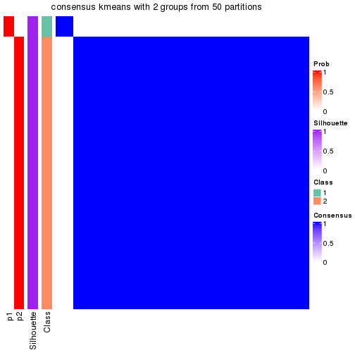 plot of chunk tab-node-012-consensus-heatmap-1