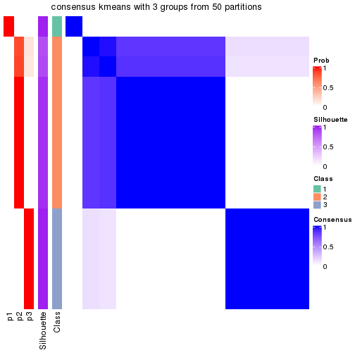 plot of chunk tab-node-012-consensus-heatmap-2