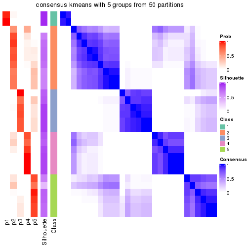 plot of chunk tab-node-012-consensus-heatmap-4