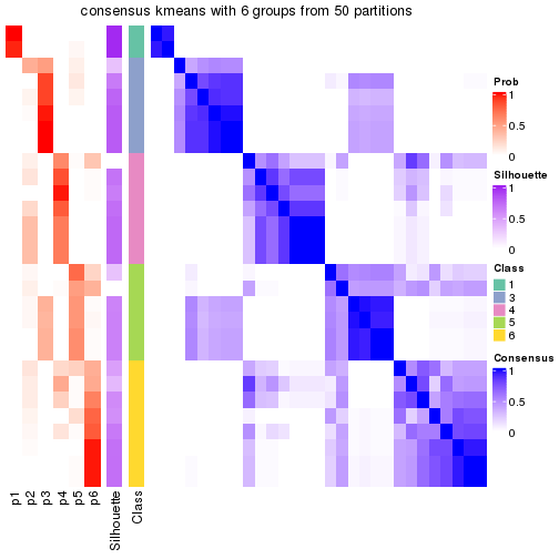 plot of chunk tab-node-012-consensus-heatmap-5