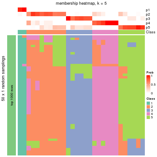 plot of chunk tab-node-012-membership-heatmap-4