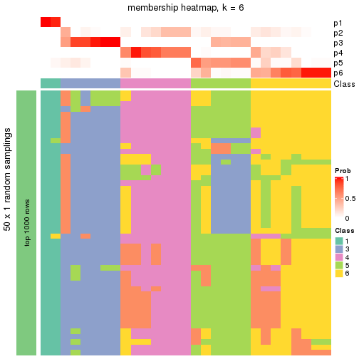 plot of chunk tab-node-012-membership-heatmap-5