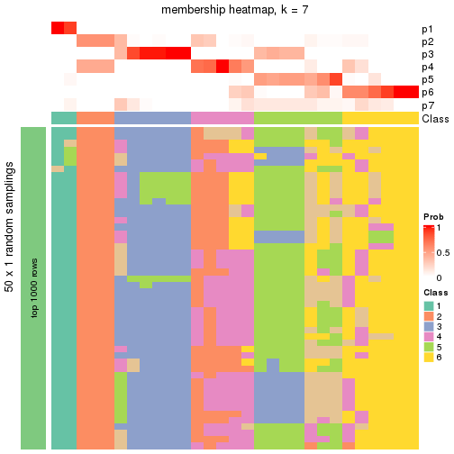 plot of chunk tab-node-012-membership-heatmap-6