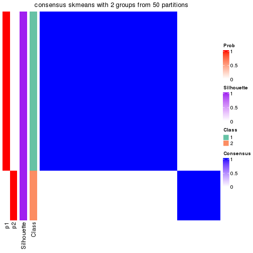 plot of chunk tab-node-013-consensus-heatmap-1