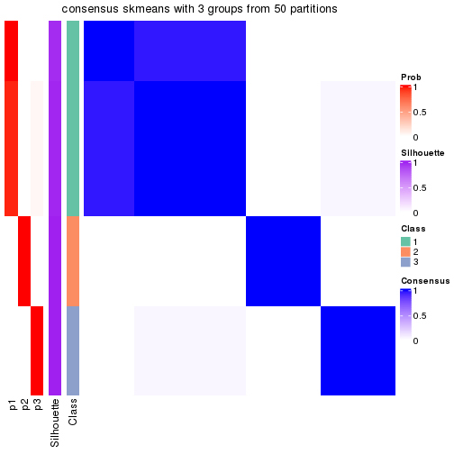 plot of chunk tab-node-013-consensus-heatmap-2