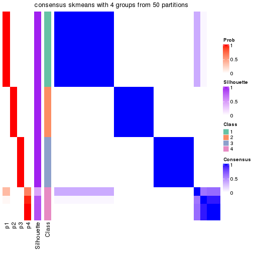 plot of chunk tab-node-013-consensus-heatmap-3