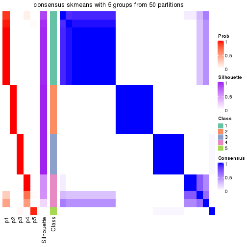 plot of chunk tab-node-013-consensus-heatmap-4