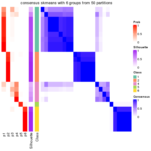 plot of chunk tab-node-013-consensus-heatmap-5