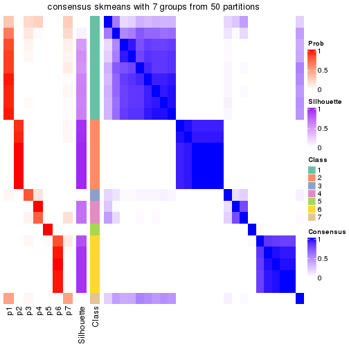 plot of chunk tab-node-013-consensus-heatmap-6