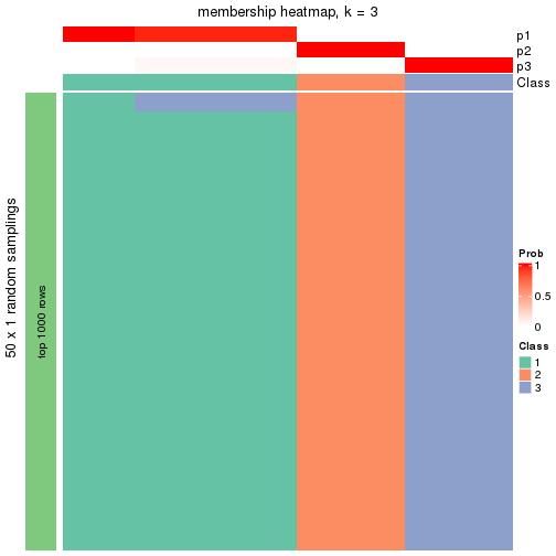 plot of chunk tab-node-013-membership-heatmap-2