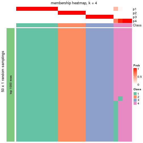 plot of chunk tab-node-013-membership-heatmap-3