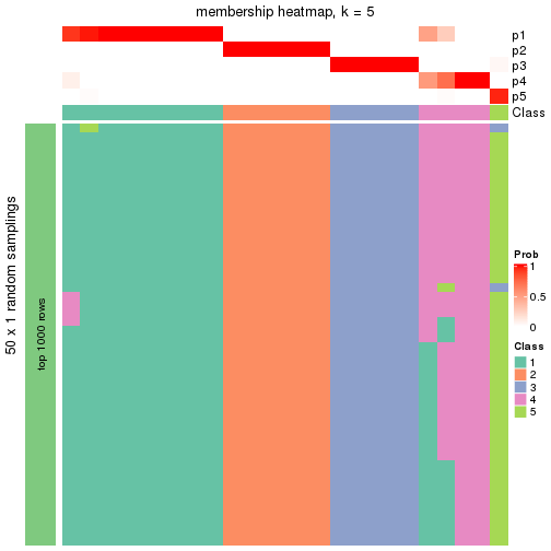 plot of chunk tab-node-013-membership-heatmap-4