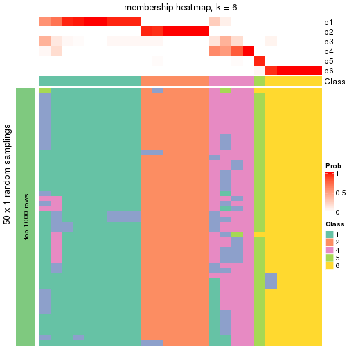 plot of chunk tab-node-013-membership-heatmap-5