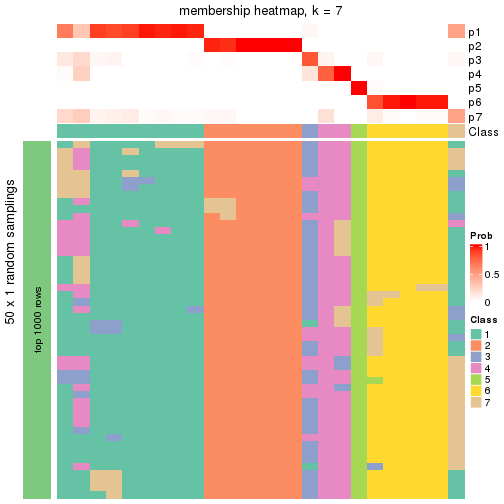 plot of chunk tab-node-013-membership-heatmap-6