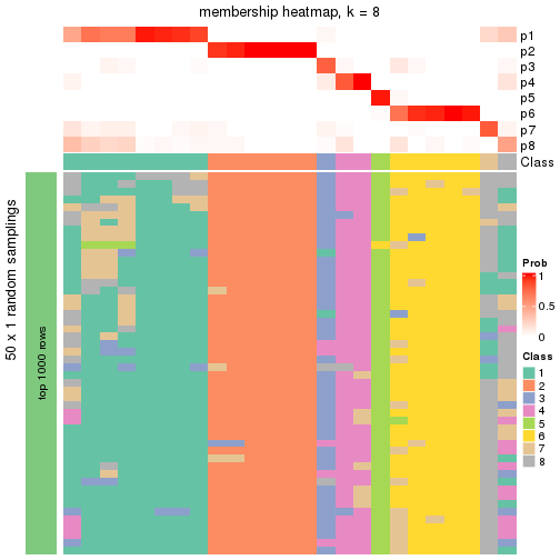 plot of chunk tab-node-013-membership-heatmap-7