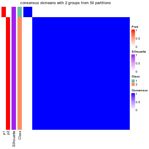 plot of chunk tab-node-015-consensus-heatmap-1