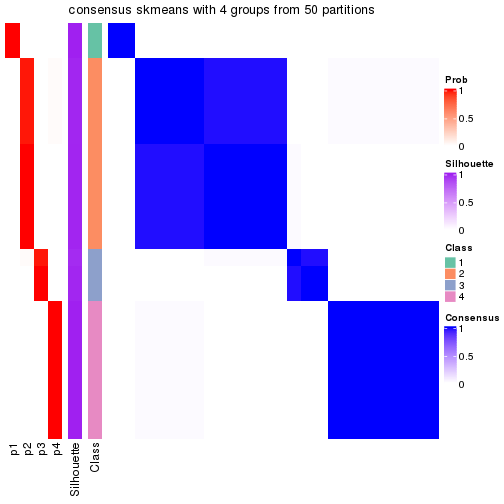 plot of chunk tab-node-015-consensus-heatmap-3