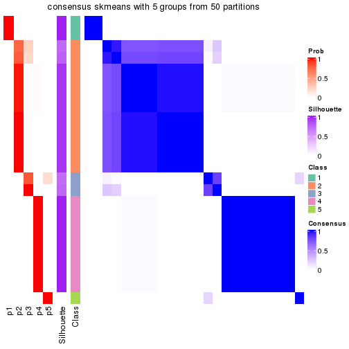 plot of chunk tab-node-015-consensus-heatmap-4