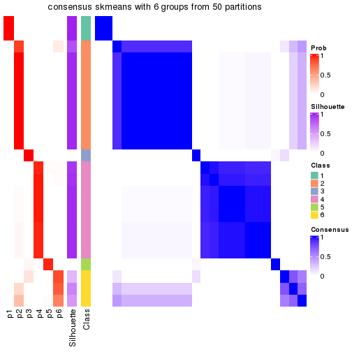 plot of chunk tab-node-015-consensus-heatmap-5