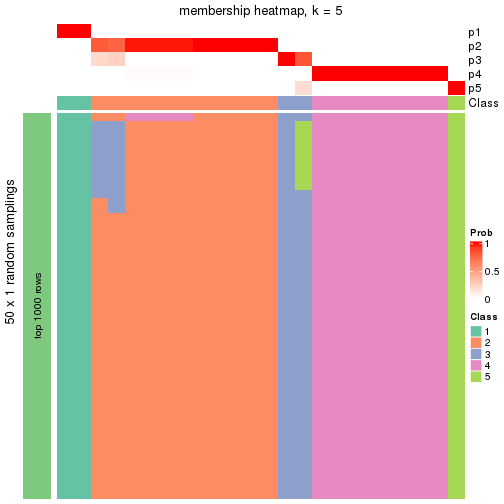 plot of chunk tab-node-015-membership-heatmap-4