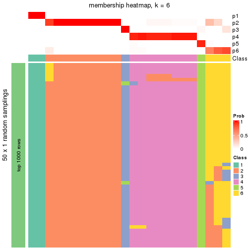 plot of chunk tab-node-015-membership-heatmap-5