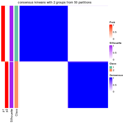 plot of chunk tab-node-02-consensus-heatmap-1