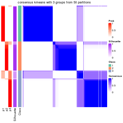 plot of chunk tab-node-02-consensus-heatmap-2