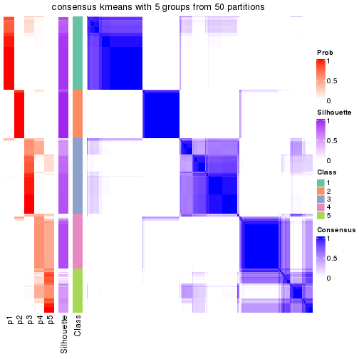 plot of chunk tab-node-02-consensus-heatmap-4