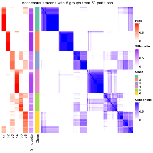 plot of chunk tab-node-02-consensus-heatmap-5