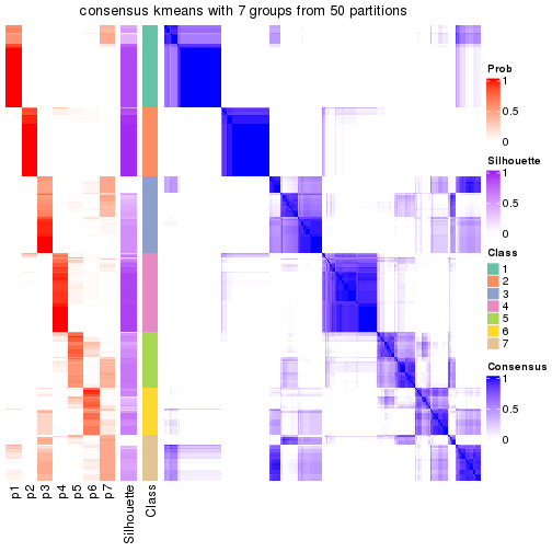 plot of chunk tab-node-02-consensus-heatmap-6