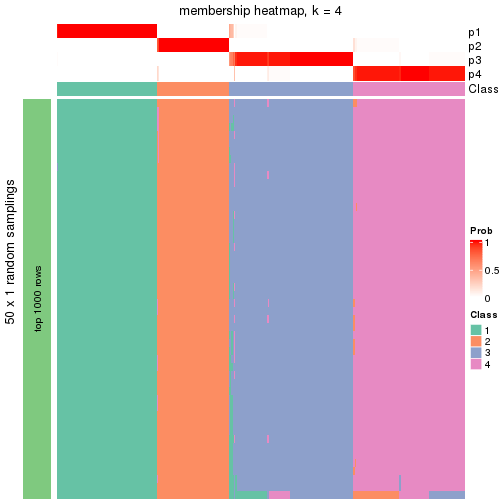 plot of chunk tab-node-02-membership-heatmap-3