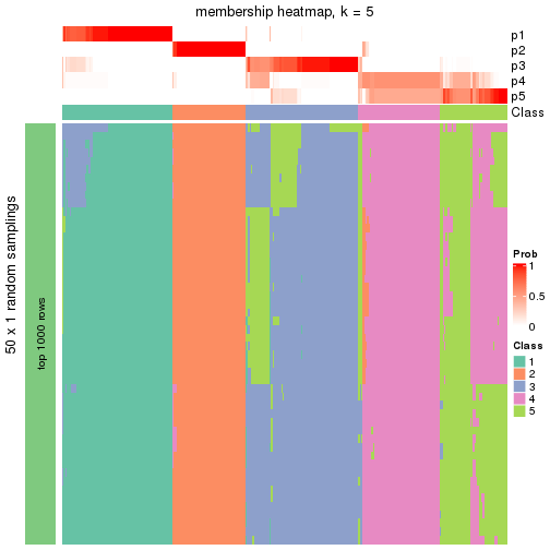 plot of chunk tab-node-02-membership-heatmap-4