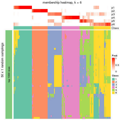 plot of chunk tab-node-02-membership-heatmap-5