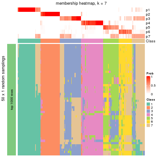 plot of chunk tab-node-02-membership-heatmap-6