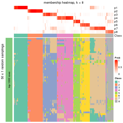 plot of chunk tab-node-02-membership-heatmap-7