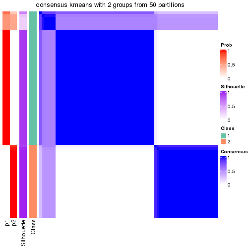 plot of chunk tab-node-021-consensus-heatmap-1